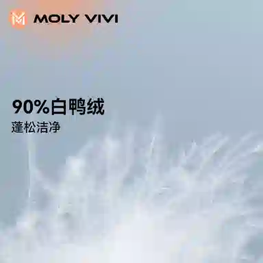 MOLY VIVI 2023
