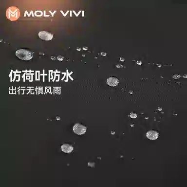 MOLY VIVI 2024