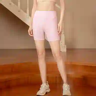 MOLY VIVI 2024