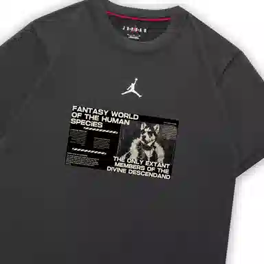 Jordan DIR-FIT DIR-FIT VLogoT
