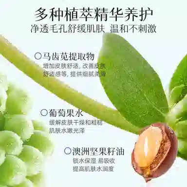 雪玲妃  果蔬毛孔透嫩洁肤膏按摩膏 深层清洁