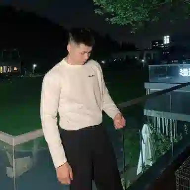 insLOGOT