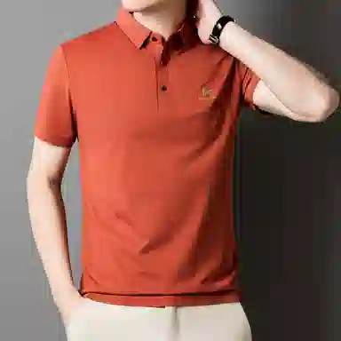 PIERRE CARDIN Polo