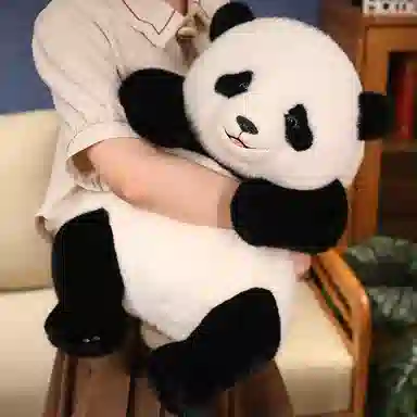 25cm35cm50cm70cm90cm