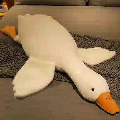 5090130160