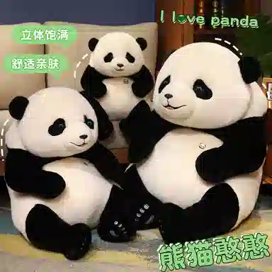 25cm35cm50cm70cm90cm