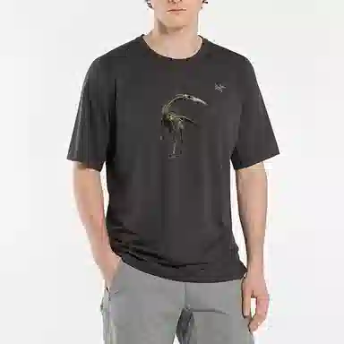 Arcteryx T