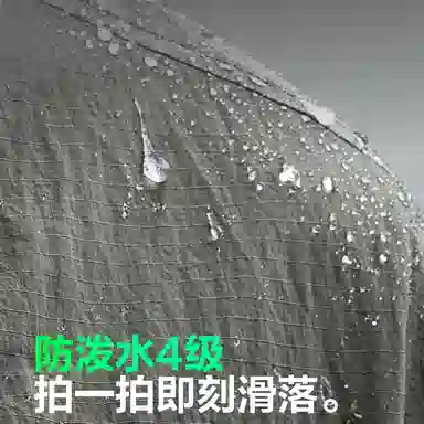 LogoUPF100