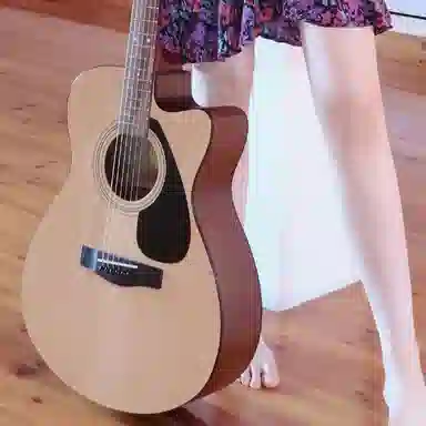 YAMAHA FS100C_NT 40