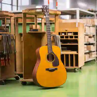 YAMAHA () FG5FS5 ( FGX5FX5X