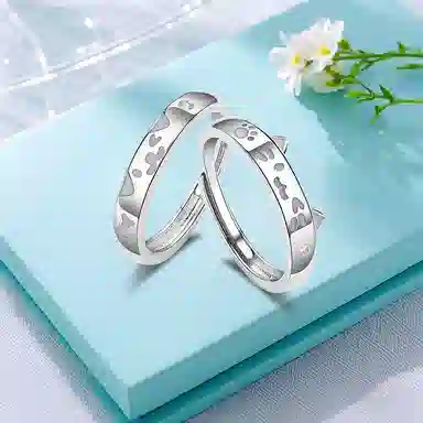 Inkopper ins