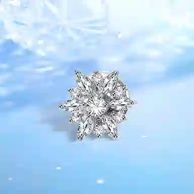 Inkopper ins