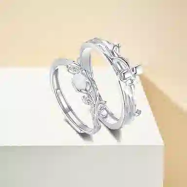 Inkopper ins