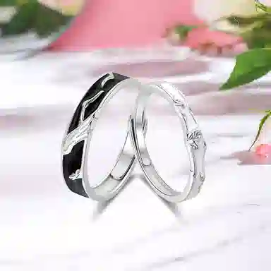 Inkopper ins