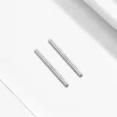 Inkopper Elegant Silver Ear Studs