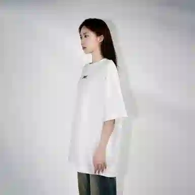 FEAROM T