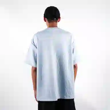 FEAROM T