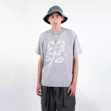 FEAROM T