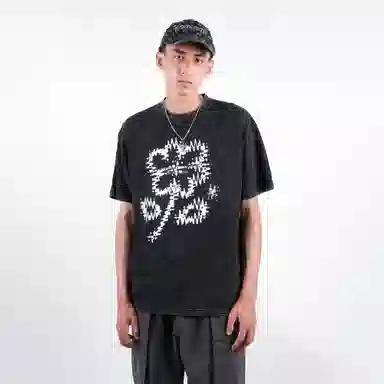 FEAROM T