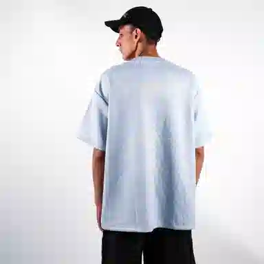 FEAROM T