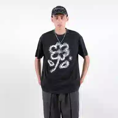 FEAROM T