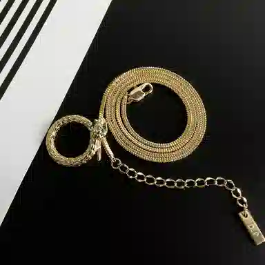 DREAM PARTY Silver Snake Series Necklace