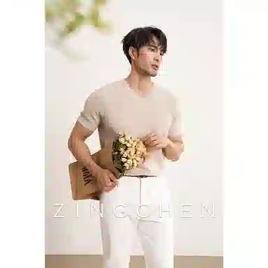 ZINGCHEN VT