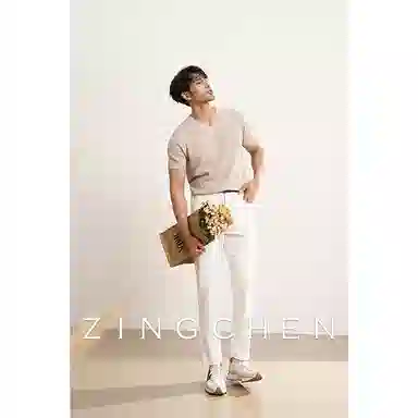 ZINGCHEN VT
