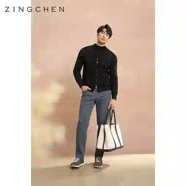 ZINGCHEN V