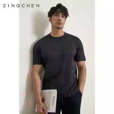 ZINGCHEN T