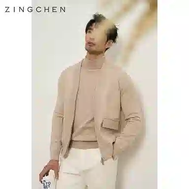 ZINGCHEN V