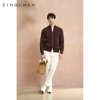 ZINGCHEN 14