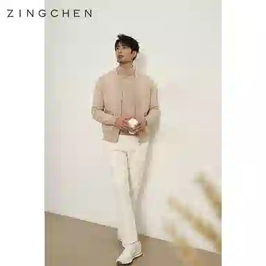 ZINGCHEN V