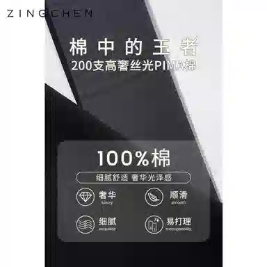 ZINGCHEN T