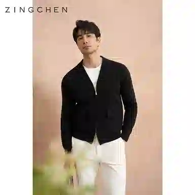 ZINGCHEN V