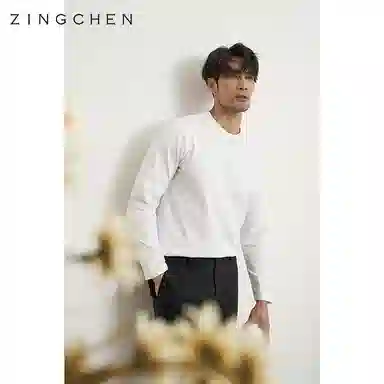 ZINGCHEN T