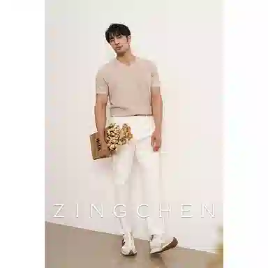 ZINGCHEN VT