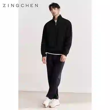 ZINGCHEN 390