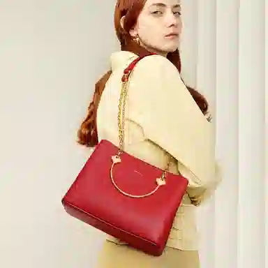 NUCELLE