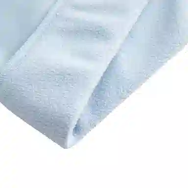 Anta