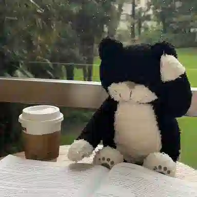 Liv Heart 30cm40cm50cm70cm