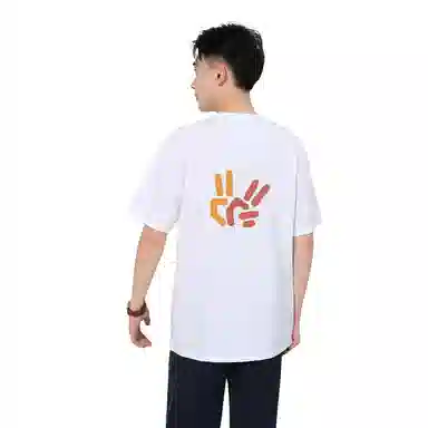 Acupuncture 300T