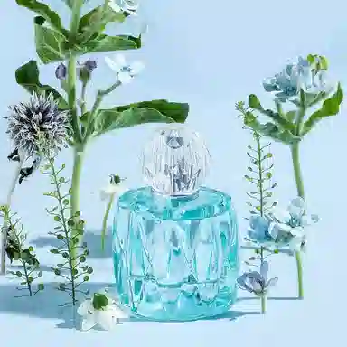 DIGNIFE EDT 50ml