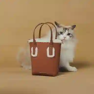 CHARLESKEITH CK PU Brown