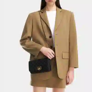 CHARLES&KEITH Quilted Chain Bag Small