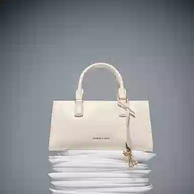 Charles & Keith Handbag