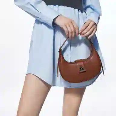 Charles & Keith Crescent Bag