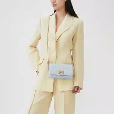 CHARLES&KEITH Quilted Chain Bag Small