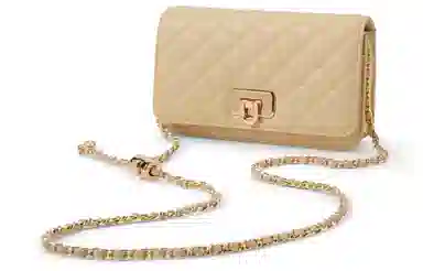 CHARLES&KEITH Quilted Chain Bag Small