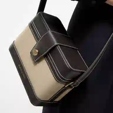 CHARLES&KEITH Quilted Crossbody Bag